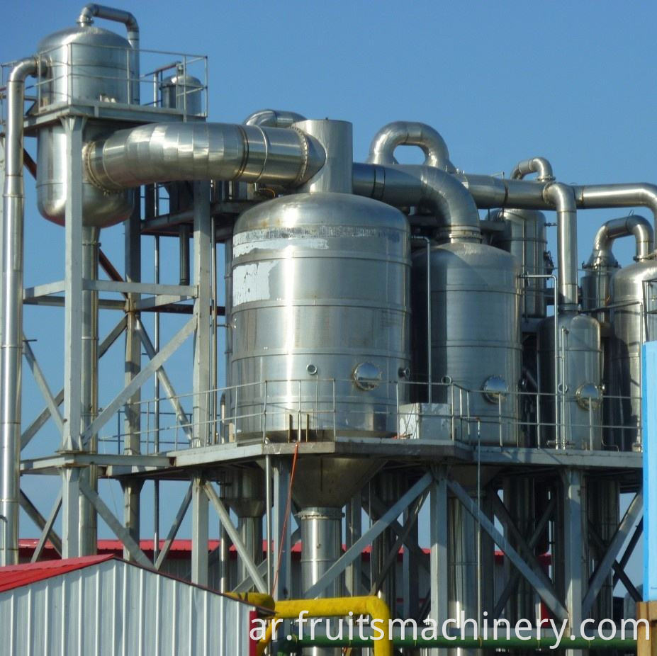 Automatic Tomato Processing Line